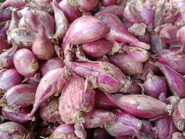 Bawang Merah 1Kg