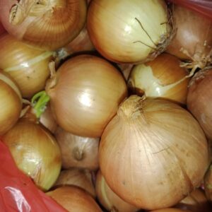 Bawang Bombay 1Kg