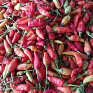 Rawit Merah 1Kg