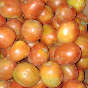 Tomat Merah 1Kg